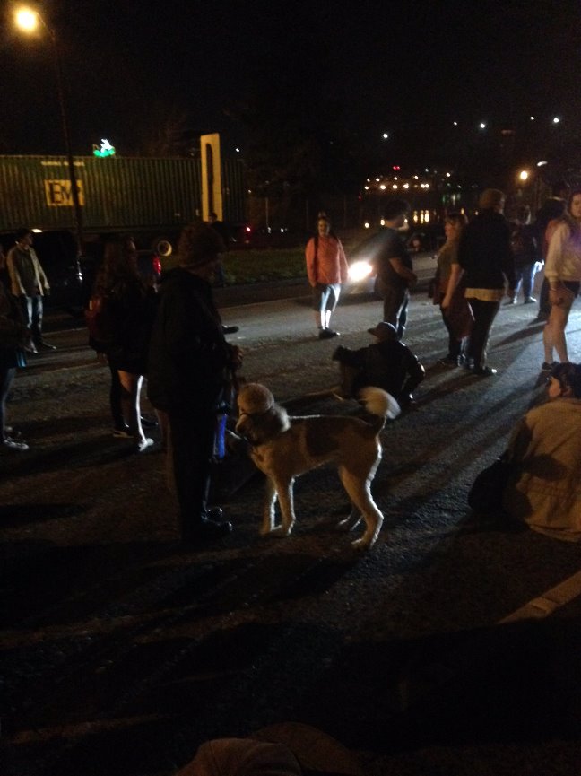 When Teresa called me