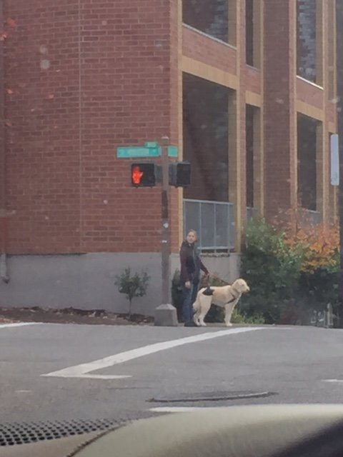 When Teresa called me