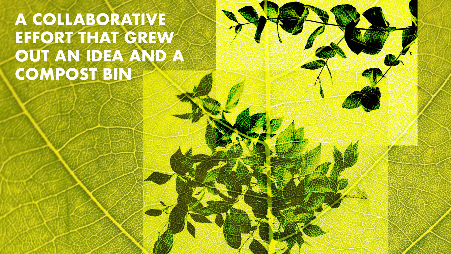 2026 MFA Thesis Exhibition: Sammi Eady