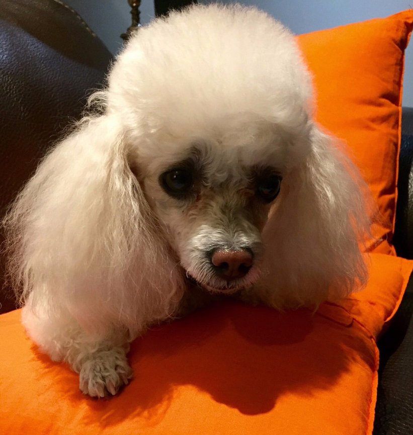 When Teresa called me