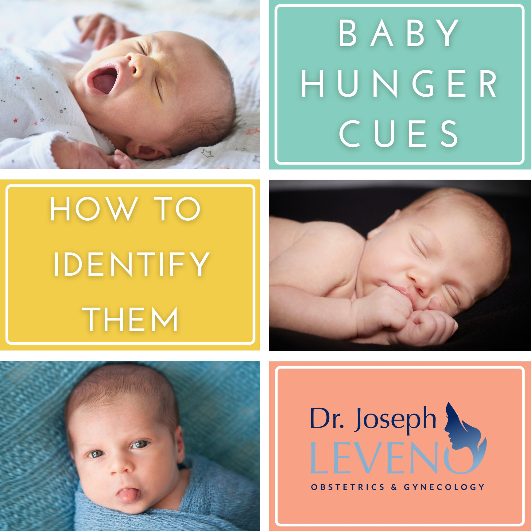 baby-hunger-cues-dr-joseph-leveno