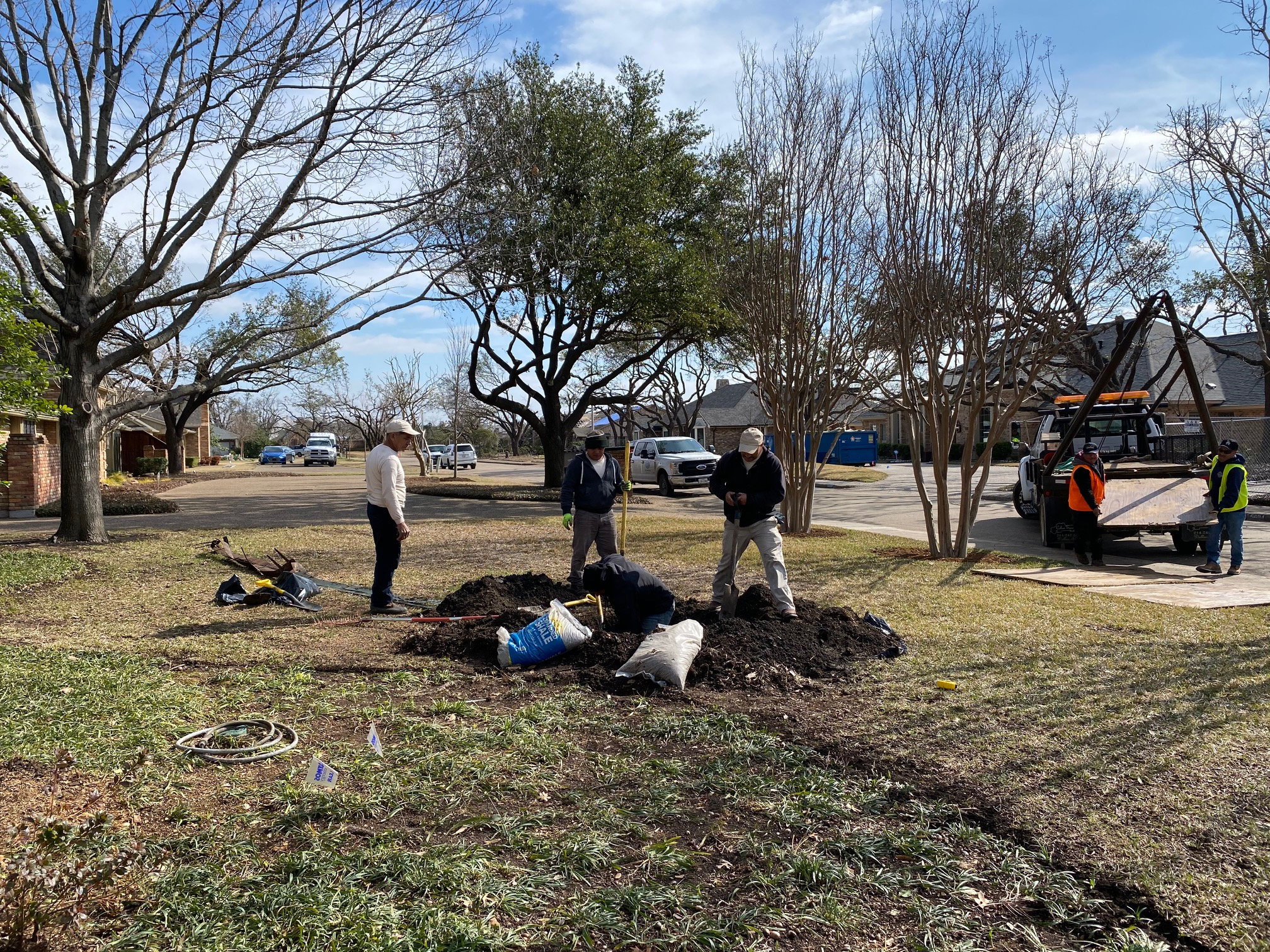 Winter is the Best Time to Plant a Tree in Dallas