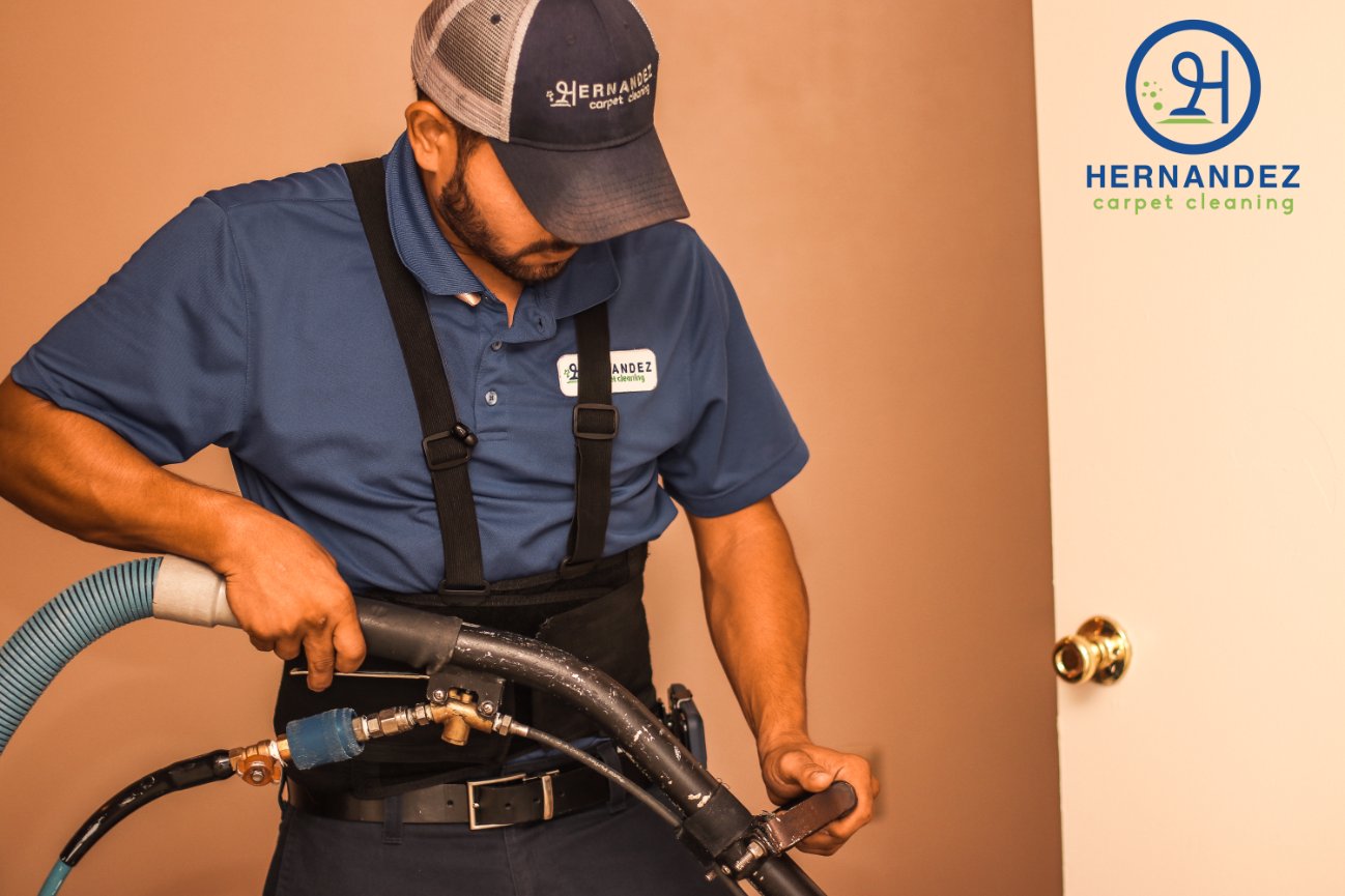 BLOG Hernandez Carpet Cleaning Greensboro, Winston Salem, Burlington