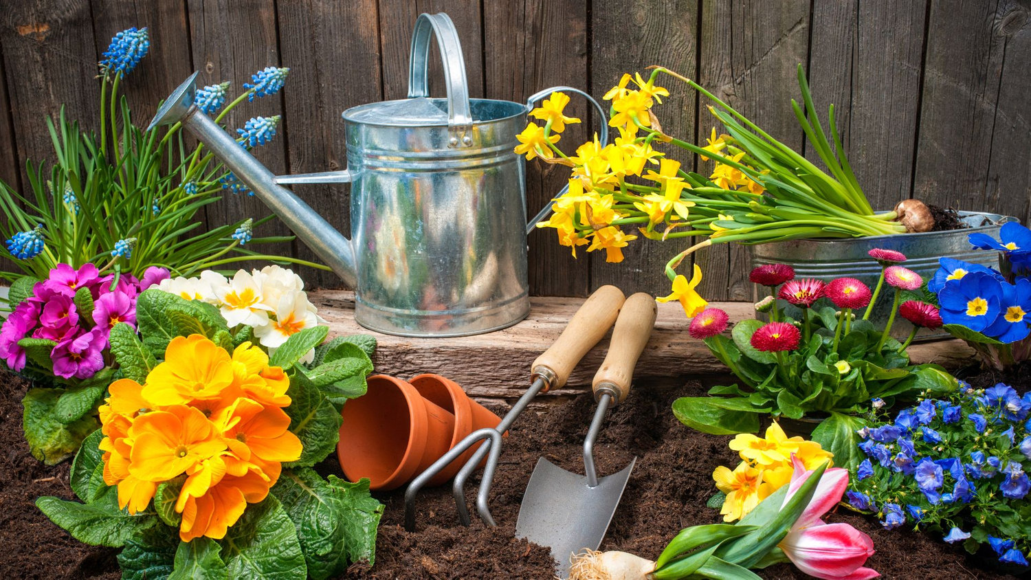 Gardening