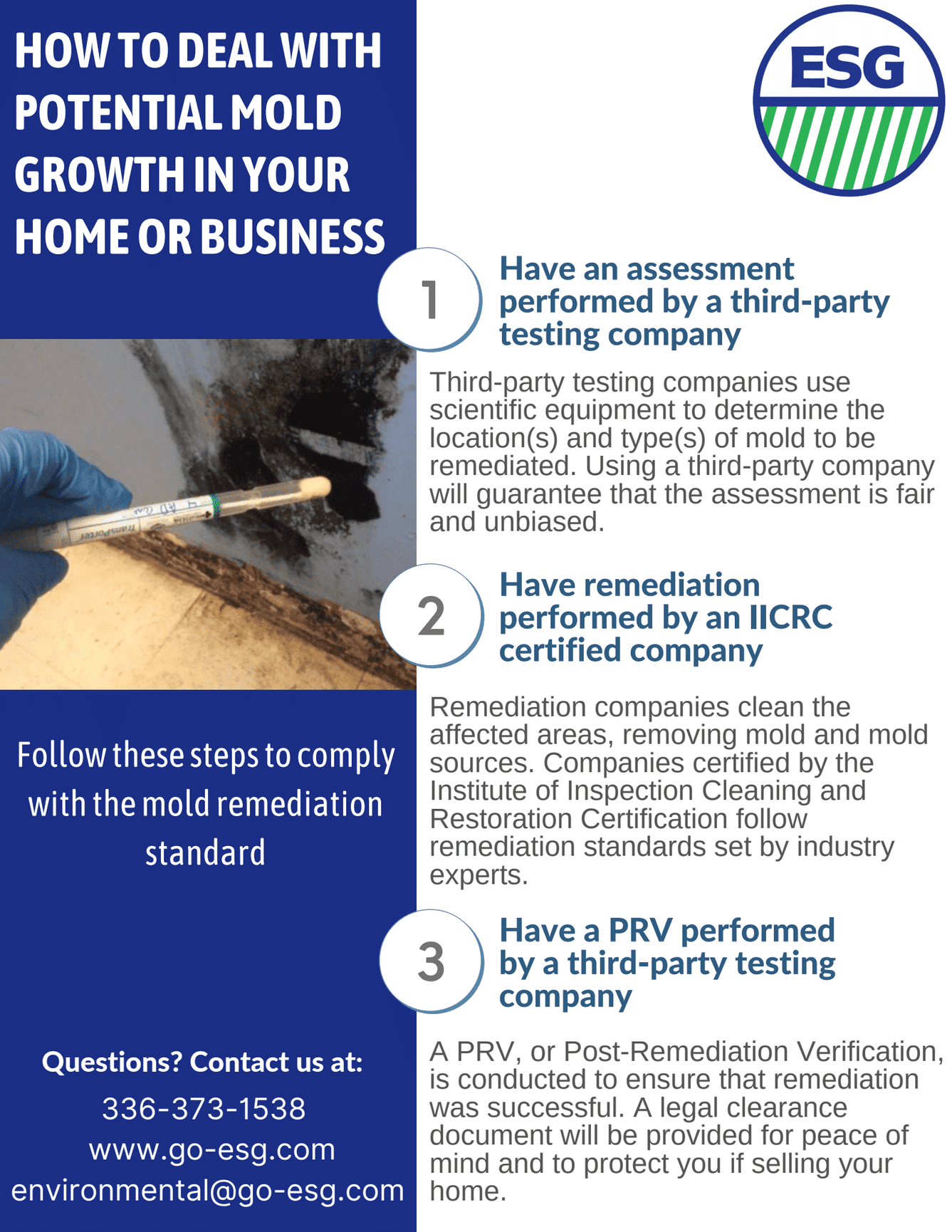 STEPS TO TAKE AFTER FINDING MOLD - Environmental Solutions Group